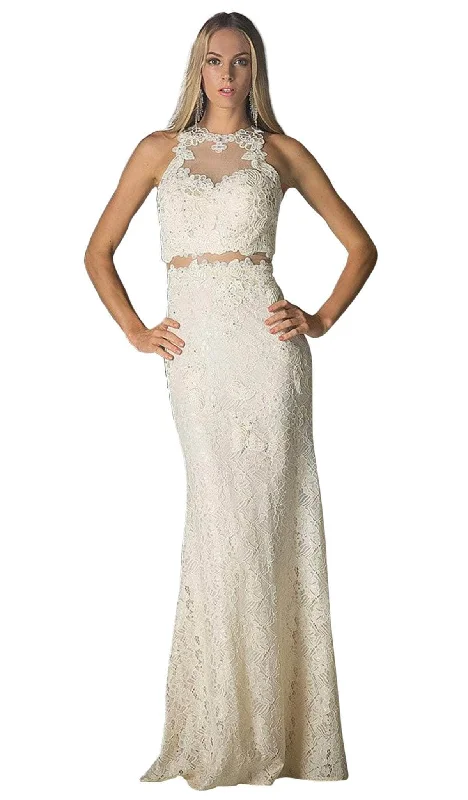 Ladivine 1586 - Sheer Lace Appliqued Sheath Gown